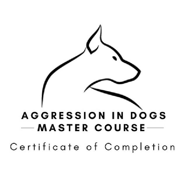 Aggressive Dog Aggressive Dog